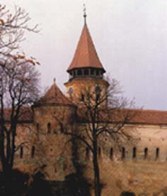 Die Kirchenburg von Tartlau
